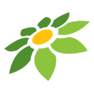 TOKOPEDIA SAHAM